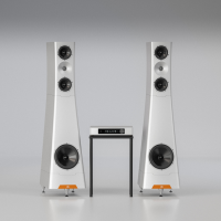 YG Acoustics Sonja 3 Live S Reference Loudspeakers