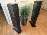 GoldenEar Technology Triton 66 Loudspeakers (Pair) - Black - Ex Demonstration